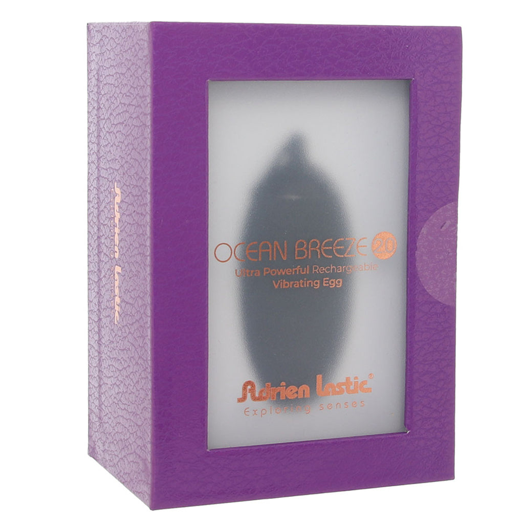Ocean Breeze 2.0 Remote Egg Vibe in Black Vibrators > Bullet and Egg Vibrators - Tophatter Daily Deals
