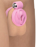Master Series Pussification Vulva Chastity Cage Bondage and Fetish > Cock and Ball Devices - Tophatter Daily Deals