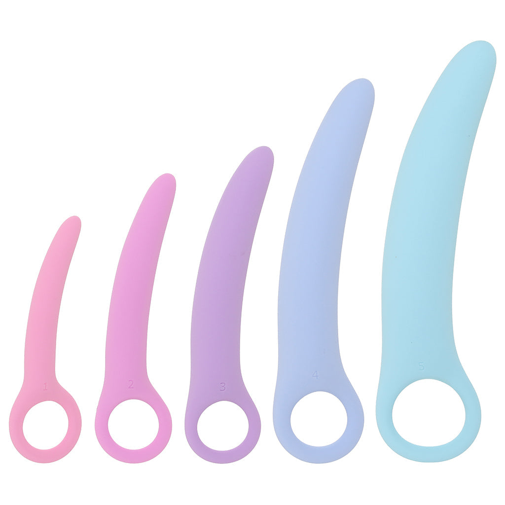 Passion Silicone Kegel Exerciser Set Kegel, Ben Wa and Pelvic Health Tools - Tophatter Daily Deals