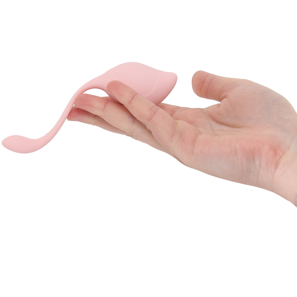 Loveline Pelvifit Stem Kegel Kit - Tophatter's Adult Sex Toys Online Kegel, Ben Wa and Pelvic Health Tools - Tophatter Daily Deals