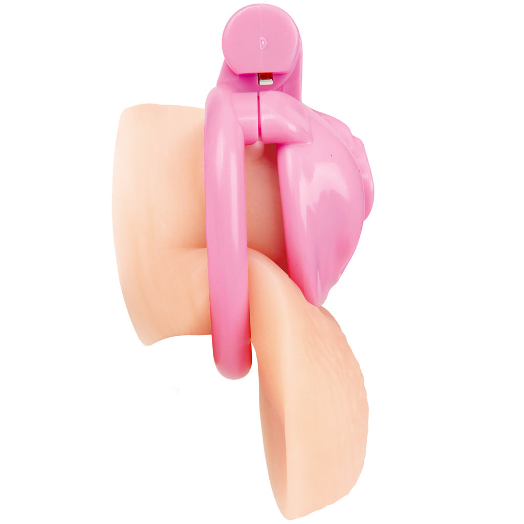 Blueline Bitchboy Degrading Mini Chastity Cage Bondage and Fetish > Cock and Ball Devices - Tophatter Daily Deals