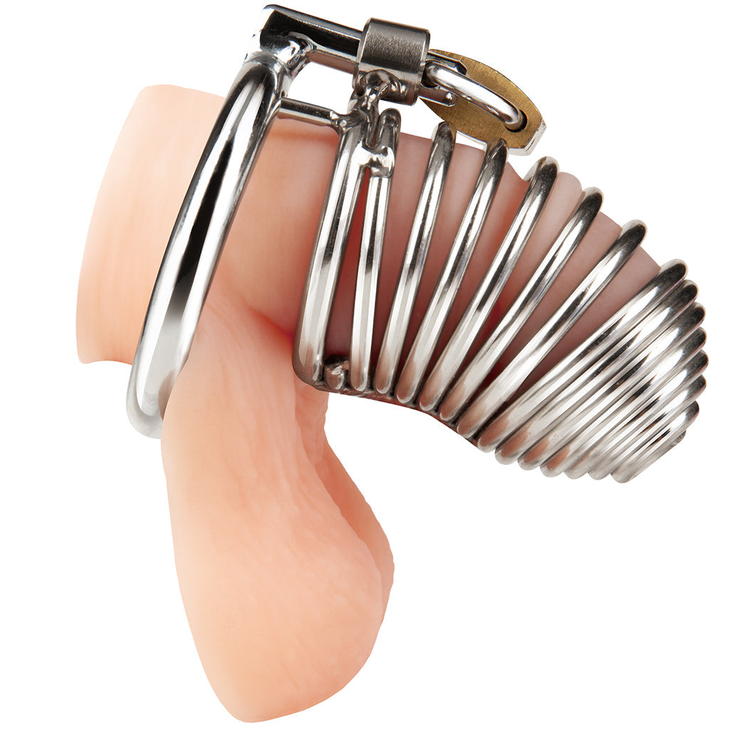 Blueline Prisoner Cock Cage - Tophatter's Adult Sex Toys Online Bondage and Fetish > Cock and Ball Devices - Tophatter Daily Deals