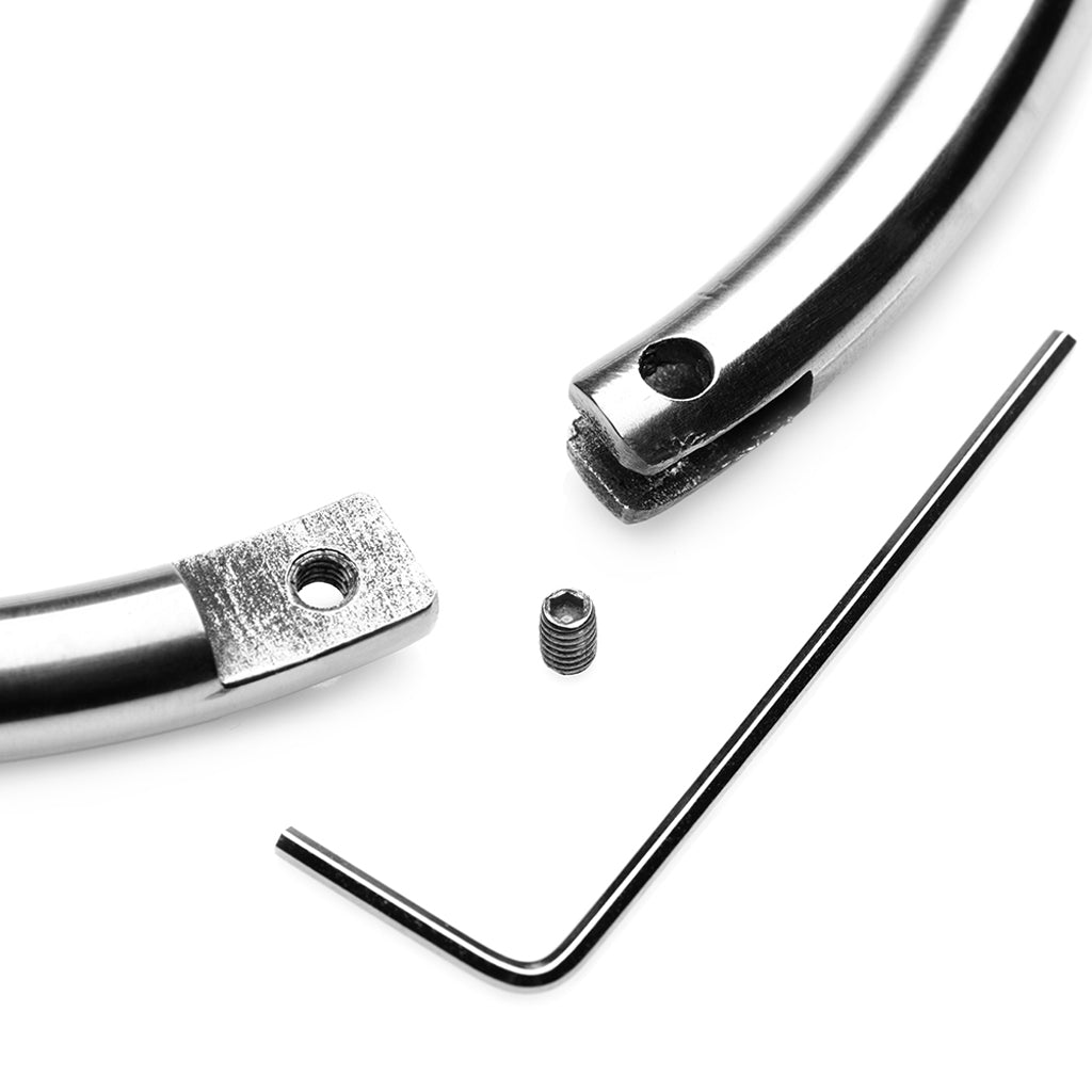 Master Series Possession Steel Lock Collar Bondage and Fetish > Leashes and Collars - Tophatter Daily Deals