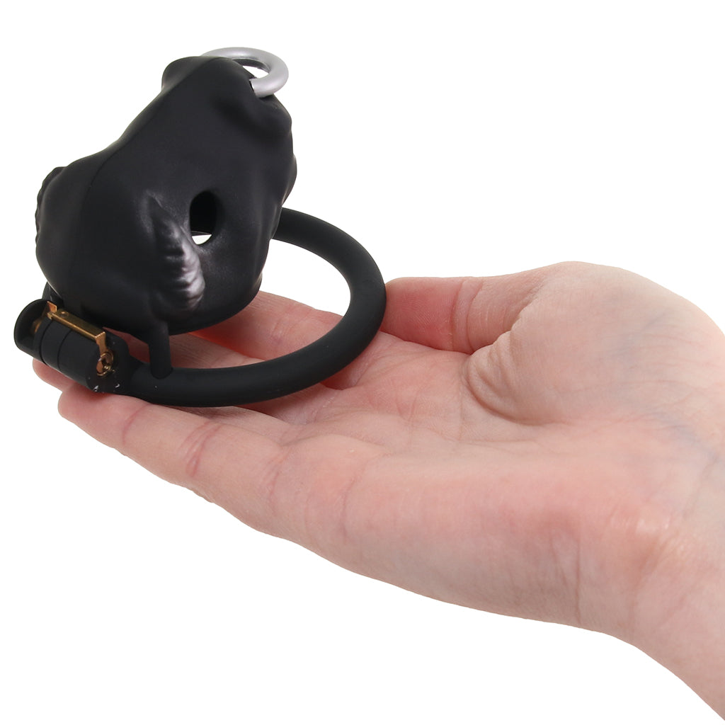 Master Series Bull Chastity Cage - Tophatter's Adult Sex Toys Online Bondage and Fetish > Cock and Ball Devices - Tophatter Daily Deals