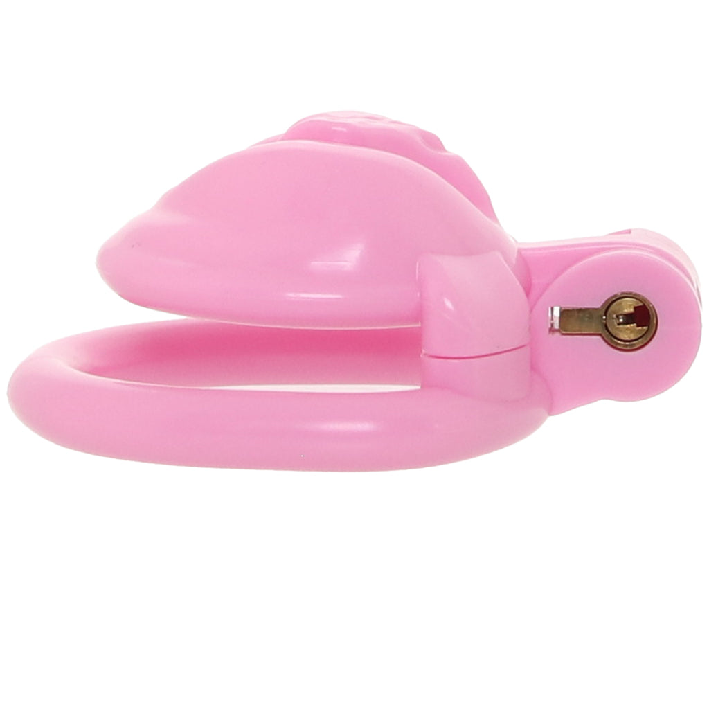 Blueline Bitchboy Degrading Mini Chastity Cage - Tophatter's Adult Sex Toys Online Bondage and Fetish > Cock and Ball Devices - Tophatter Daily Deals