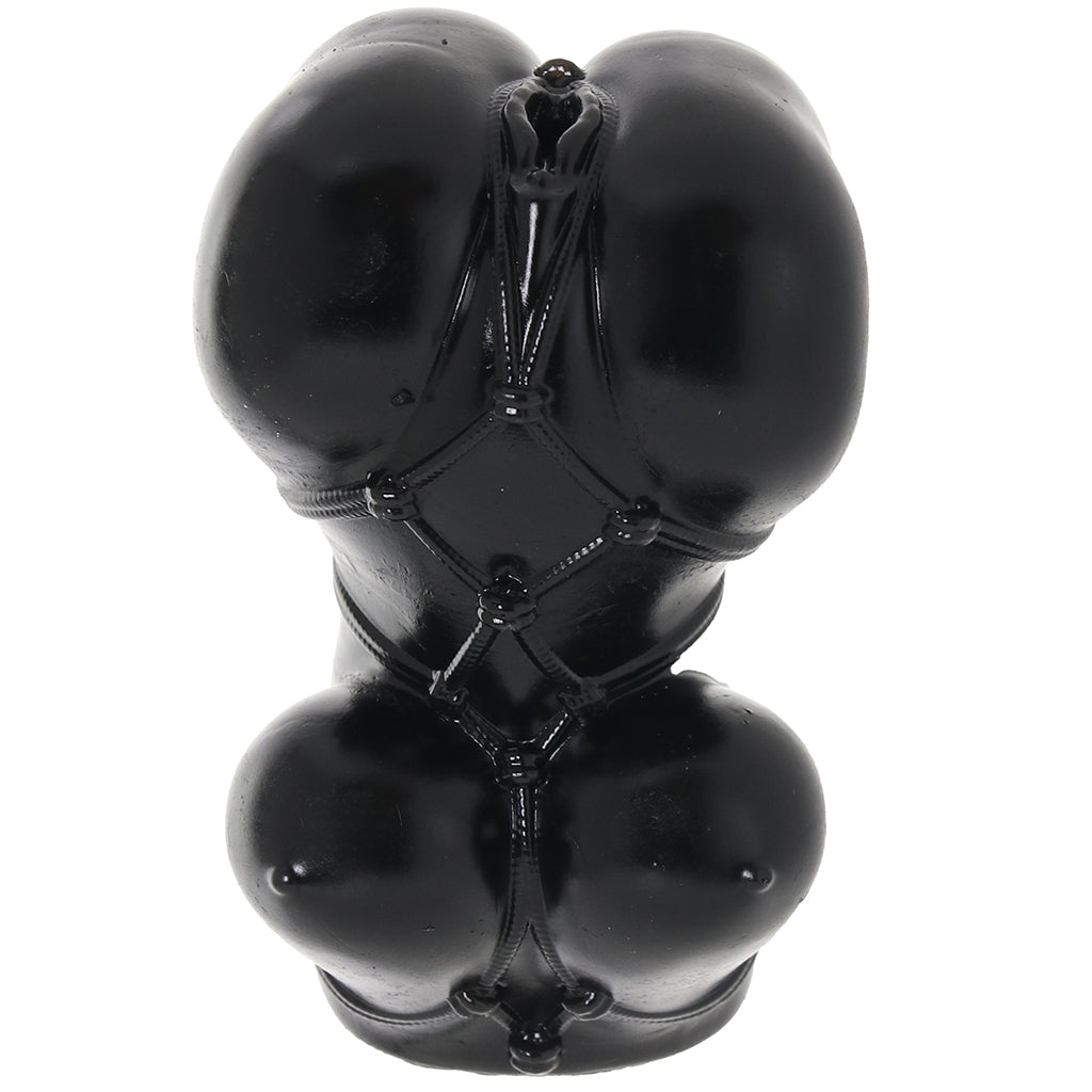 Anime Misty Shibari Stroker Male Masturbators > Pocket Strokers - Tophatter Daily Deals