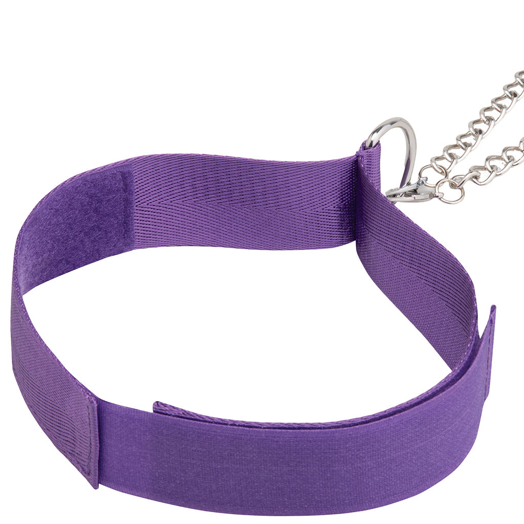 Collar & Nipple Clamp Set in Purple Bondage and Fetish > Nipple Stimulators & Clamps - Tophatter Daily Deals