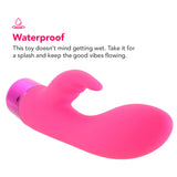 PinkCherry Right On Rabbit Silicone Dual Motor Vibe Vibrators > Rabbit Vibrators - Tophatter Daily Deals
