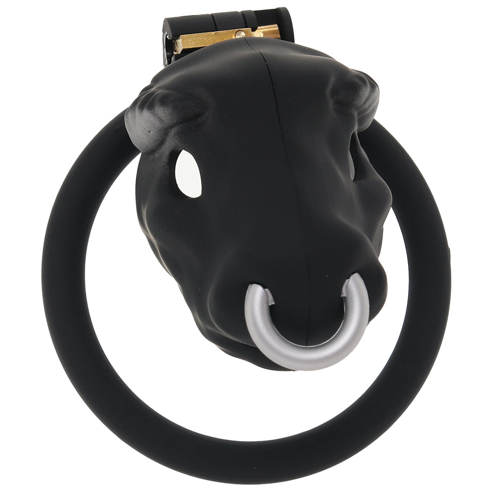 Master Series Bull Chastity Cage - Tophatter's Adult Sex Toys Online Bondage and Fetish > Cock and Ball Devices - Tophatter Daily Deals