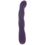 Quiver Plus Rechargeable Vibe in Deep Purple Vibrators > G-Spot Vibrators - Tophatter Daily Deals