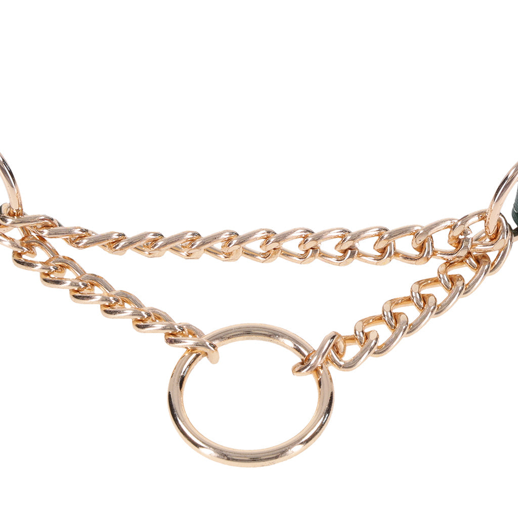 Sex & Mischief Indica Day Collar Bondage and Fetish > Leashes and Collars - Tophatter Daily Deals