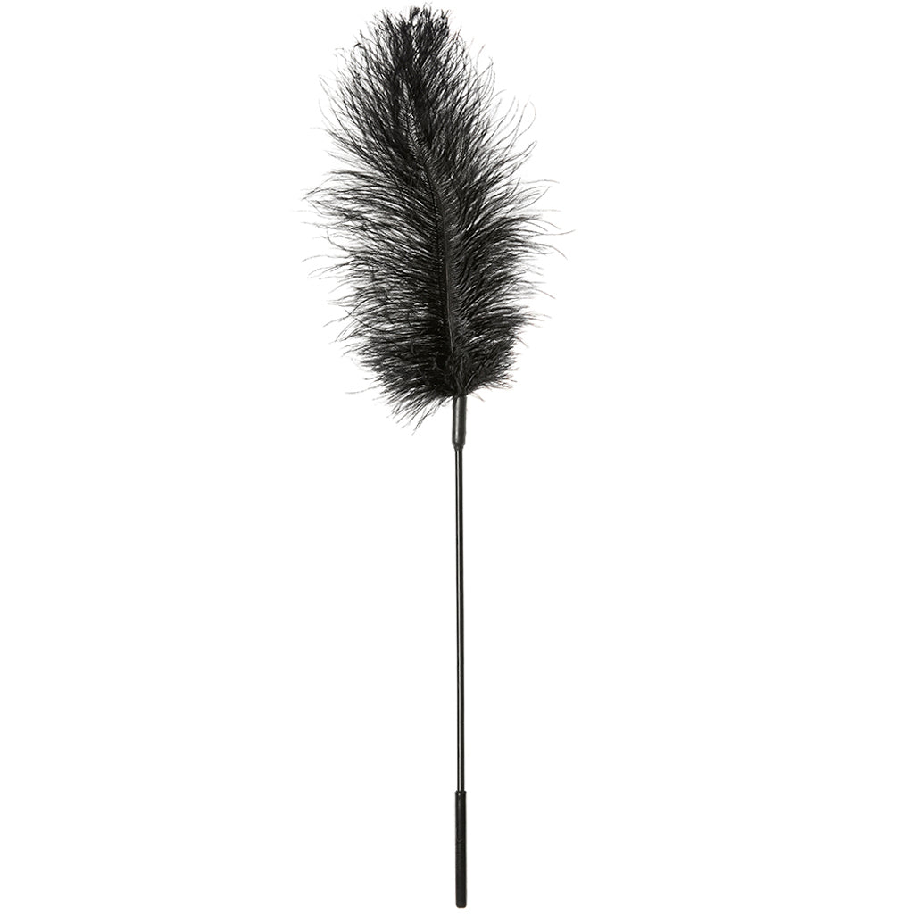 Ostrich Feather Body Tickler in Black Bondage and Fetish > Tools & Accessories - Tophatter Daily Deals