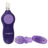 Passion Bullets Vibe in Purple - Tophatter's Vibrator Deals Online Vibrators > Bullet and Egg Vibrators - Tophatter Daily Deals