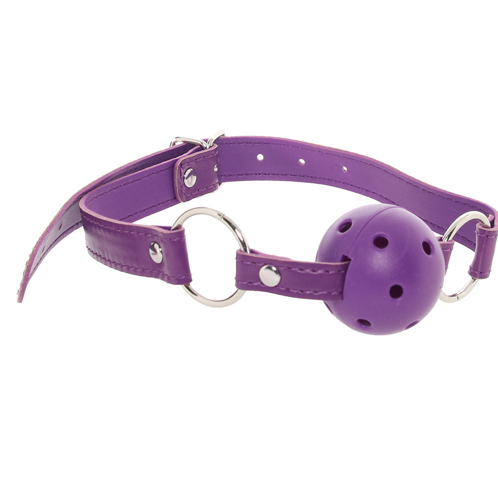 Whipsmart 12 Piece Everything You Need Bondage Kit Bondage and Fetish > Starter BDSM Kits - Tophatter Daily Deals