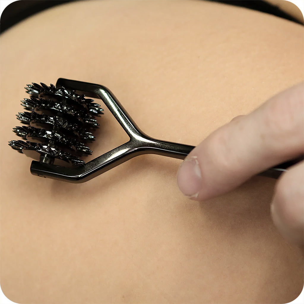 Sei Mio Wonder-Wheel 5 Row Sensory Pinwheel - Tophatter's Adult Sex Toys Online Bondage and Fetish > Tools & Accessories - Tophatter Daily Deals