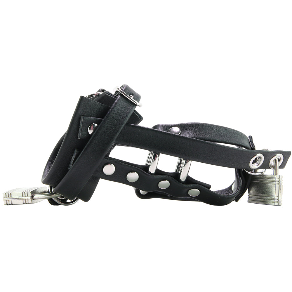 Blue Line Gimp Cock Chastity Sheath with C-Ring Bondage and Fetish > Cock and Ball Devices - Tophatter Daily Deals