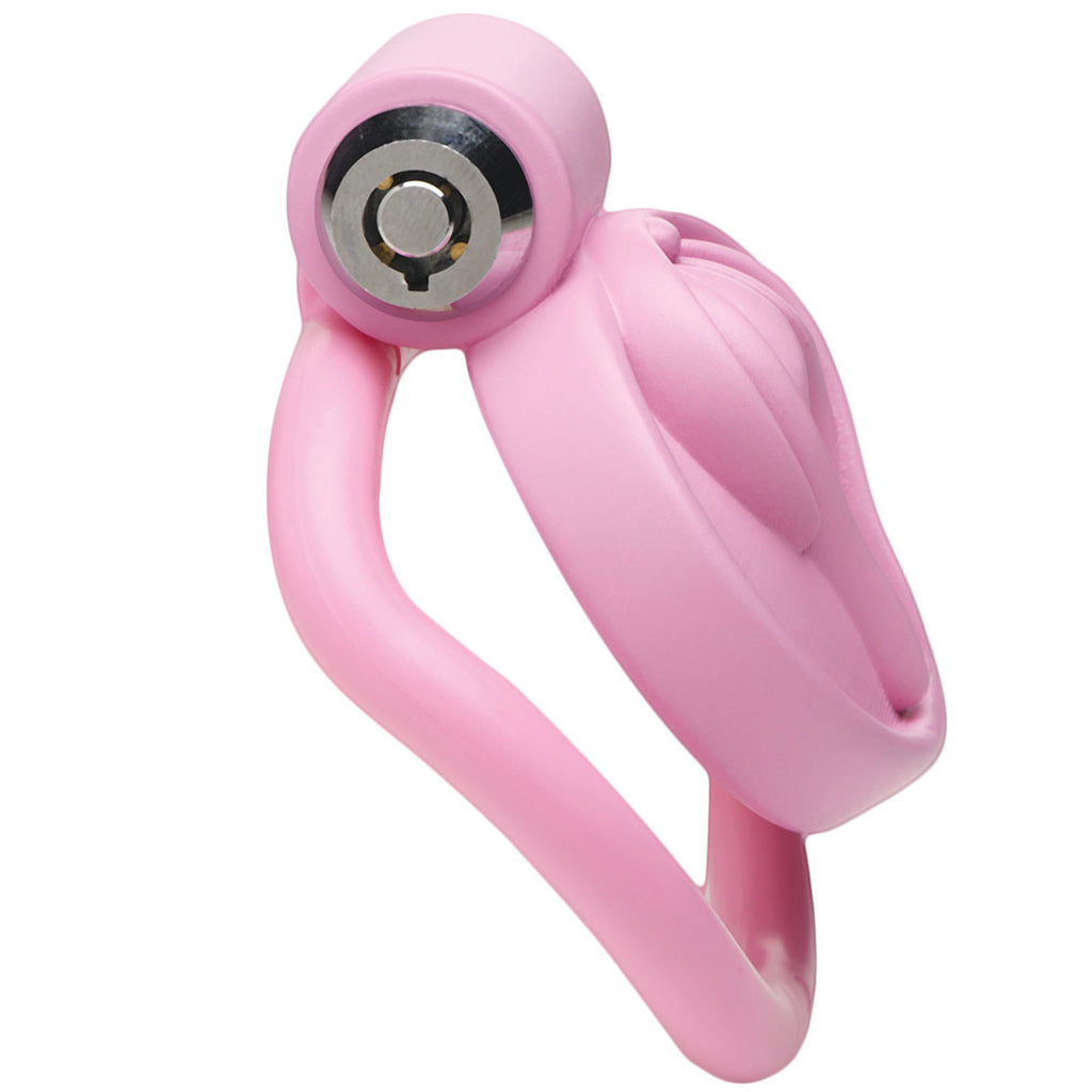 Master Series Pussification Vulva Chastity Cage Bondage and Fetish > Cock and Ball Devices - Tophatter Daily Deals