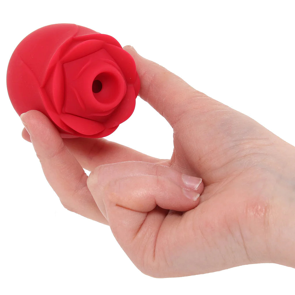 PinkCherry Rose Vibrator 2.0 - 10 Modes Pleasure Air Clitoral Suction Stimulator Vibrators > Clitoral Stimulators - Tophatter Daily Deals