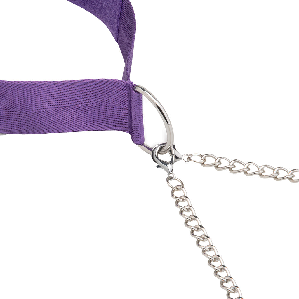 Collar & Nipple Clamp Set in Purple Bondage and Fetish > Nipple Stimulators & Clamps - Tophatter Daily Deals