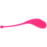Palpitation App Control Egg Vibe in Fuchsia Vibrators > Bullet and Egg Vibrators - Tophatter Daily Deals