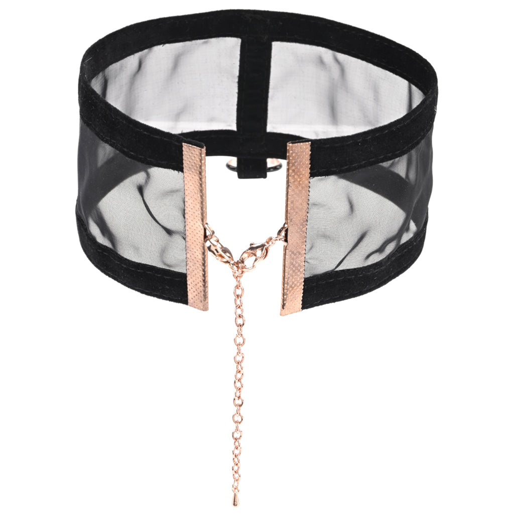 Sex & Mischief Sheer Day Collar Bondage and Fetish > Tools & Accessories - Tophatter Daily Deals