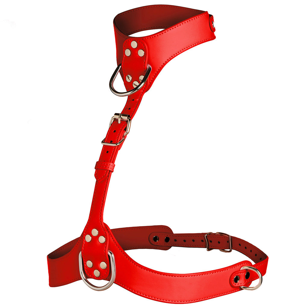 Master Series Vixen Chest Harness in Red - Tophatter's Adult Sex Toys Online Bondage and Fetish > Tools & Accessories - Tophatter Daily Deals