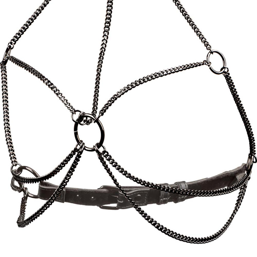 Euphoria Multi Chain Collar Harness XL Bondage and Fetish > Pleasure Masks and Dress Up Play - Tophatter Daily Deals