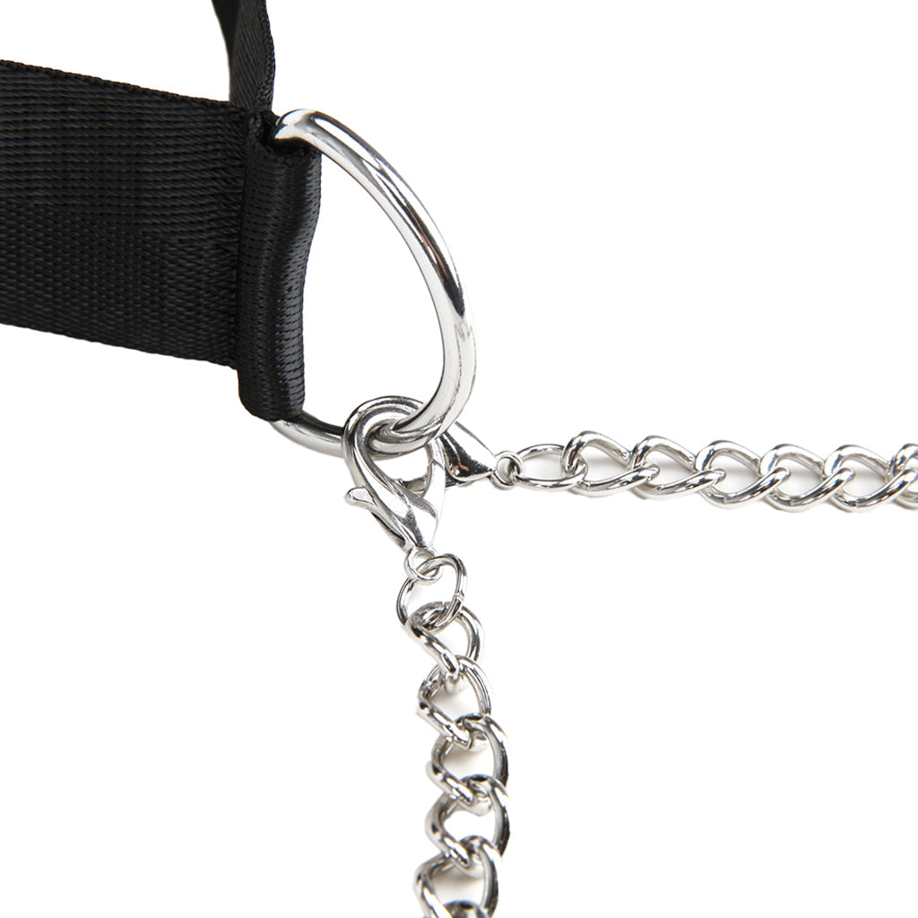 Collar and Nipple Clamps - Tophatter's Adult Products Bondage and Fetish > Nipple Stimulators & Clamps - Tophatter Daily Deals