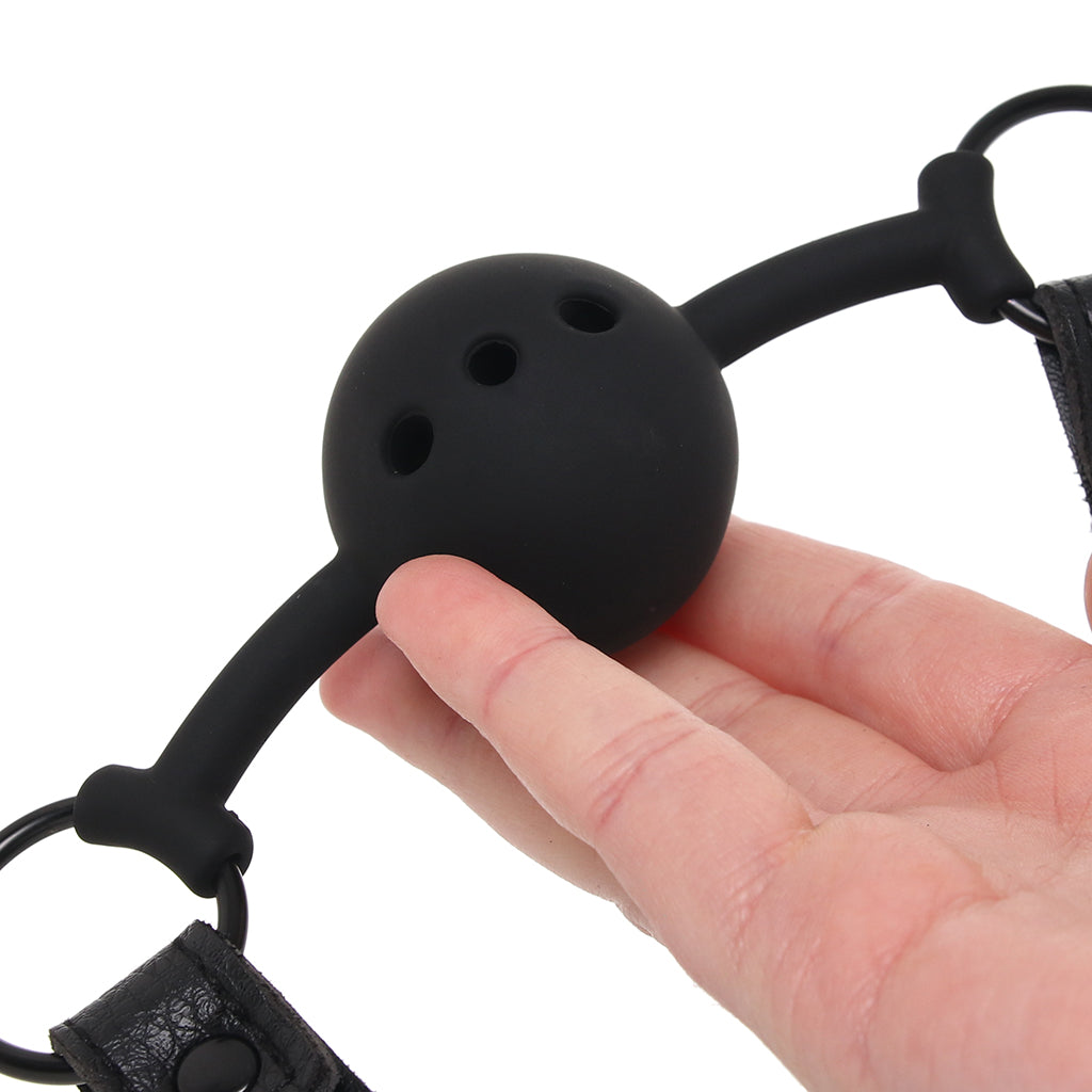 Nocturnal Collection Eye Mask & Breathable Ball Gag Set Bondage and Fetish > Ball Gags & Mouth Restraints - Tophatter Daily Deals