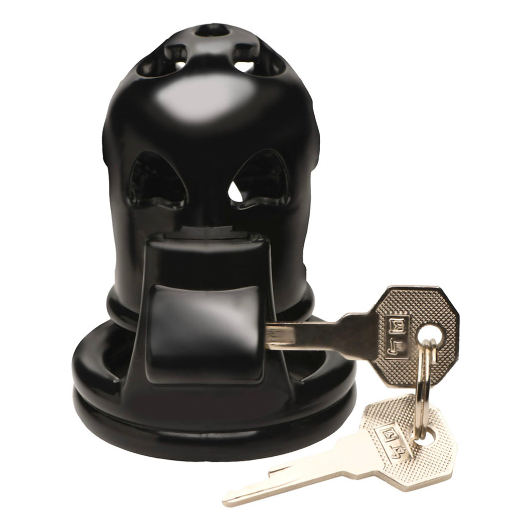Master Series Hard Stop Double Ring Chastity Cage Bondage and Fetish > Cock and Ball Devices - Tophatter Daily Deals