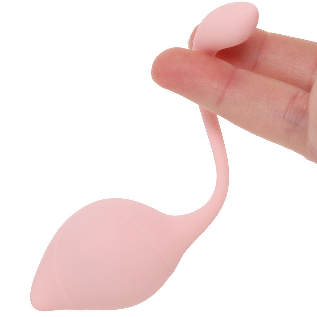 Loveline Pelvifit Stem Kegel Kit Kegel, Ben Wa and Pelvic Health Tools - Tophatter Daily Deals