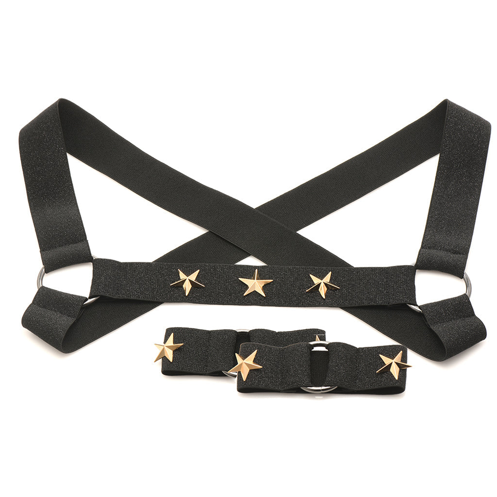Master Series Rave Harness Elastic Chest Harness /XL Bondage and Fetish > Men's Bondage Wear - Tophatter Daily Deals
