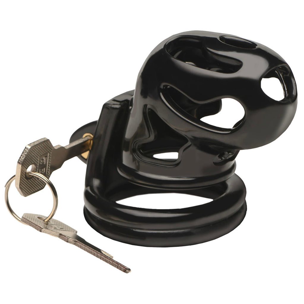 Master Series Hard Stop Double Ring Chastity Cage Bondage and Fetish > Cock and Ball Devices - Tophatter Daily Deals