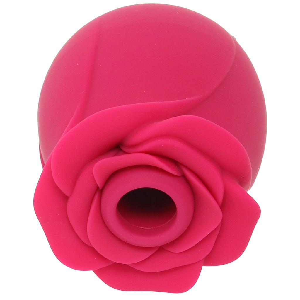 Satisfyer Pro 2 Classic Blossom Rose Vibe Vibrators > Clitoral Stimulators - Tophatter Daily Deals