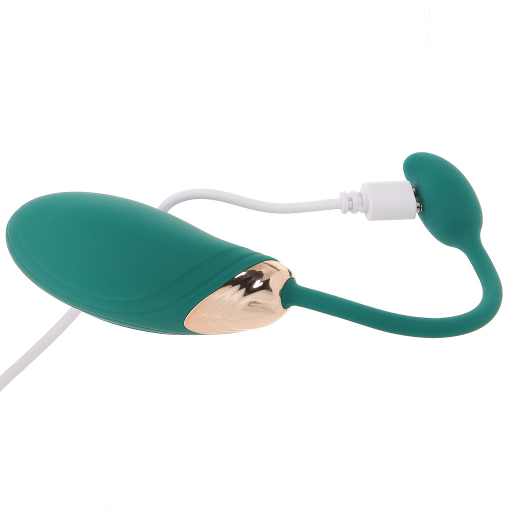 Blaze Dual Massager Kit Vibrators > Bullet and Egg Vibrators - Tophatter Daily Deals