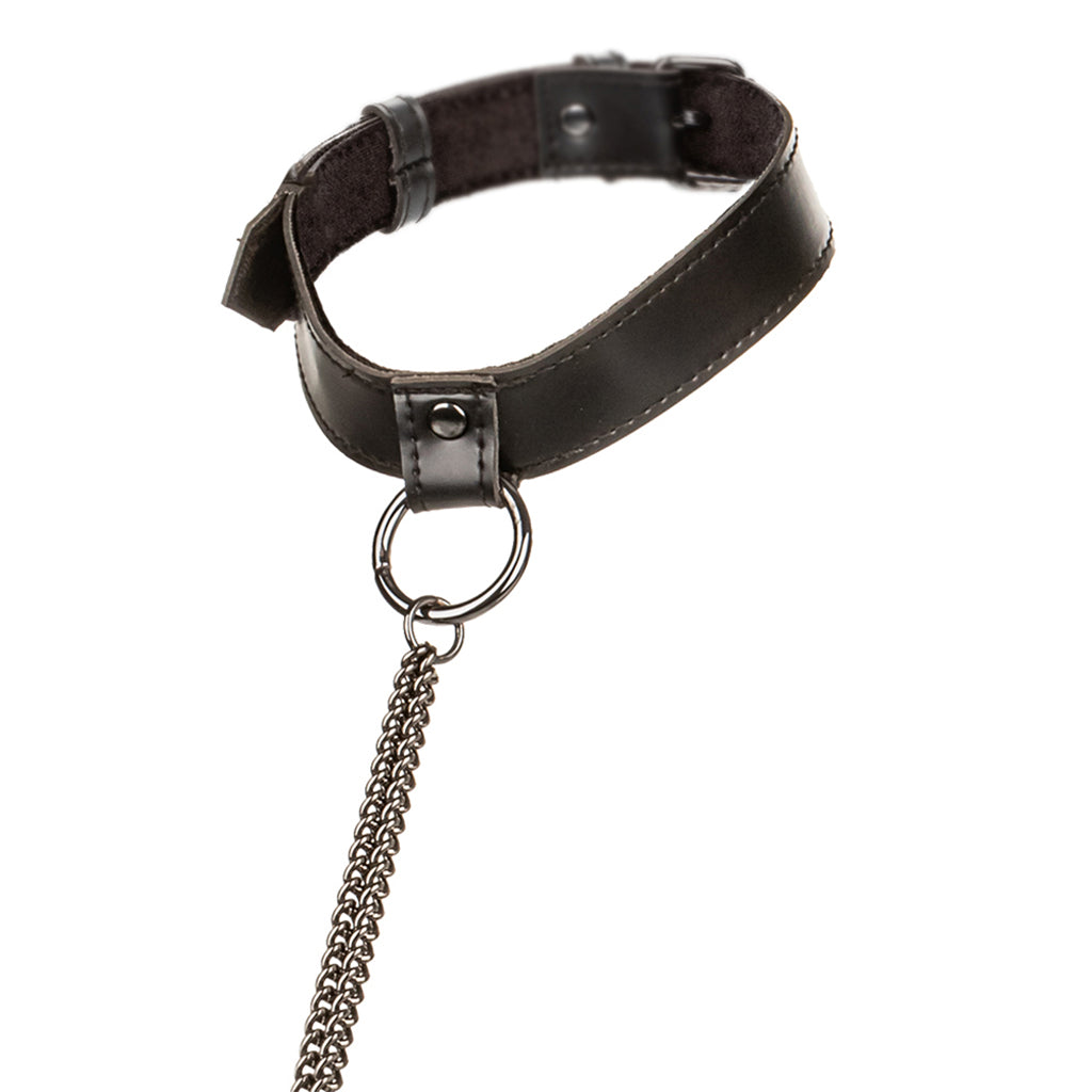 Euphoria Chain Collar & Leash XL Bondage and Fetish > Leashes and Collars - Tophatter Daily Deals