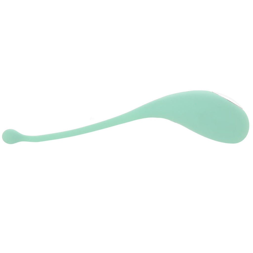 Palpitation App Control Egg Vibe in Mint Vibrators > Bullet and Egg Vibrators - Tophatter Daily Deals