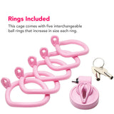 Master Series Pussification Vulva Chastity Cage Bondage and Fetish > Cock and Ball Devices - Tophatter Daily Deals