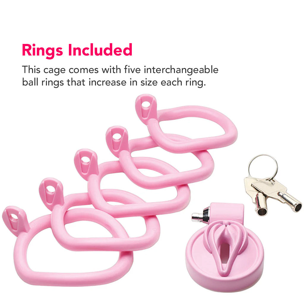 Master Series Pussification Vulva Chastity Cage Bondage and Fetish > Cock and Ball Devices - Tophatter Daily Deals