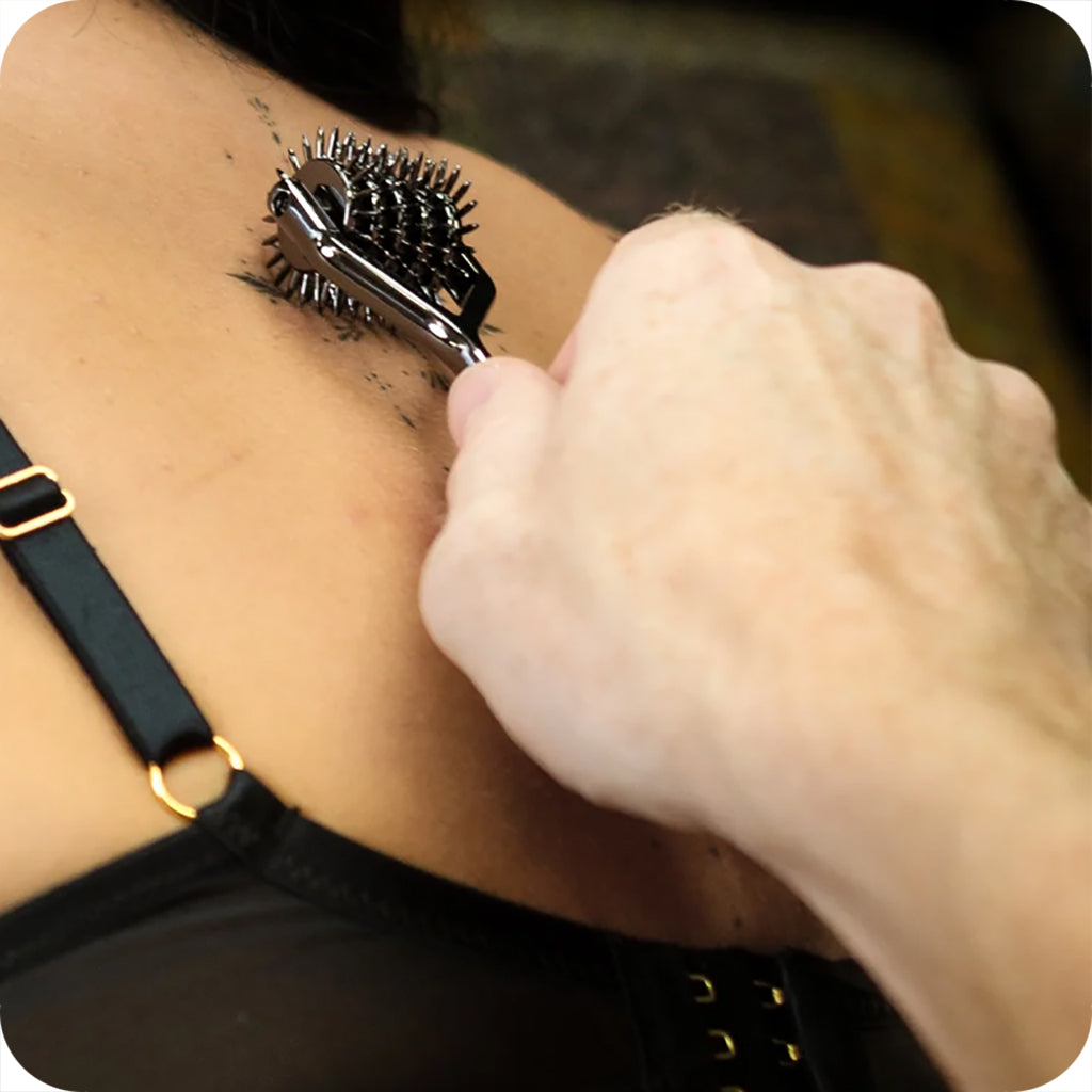 Sei Mio Wonder-Wheel 5 Row Sensory Pinwheel Bondage and Fetish > Tools & Accessories - Tophatter Daily Deals