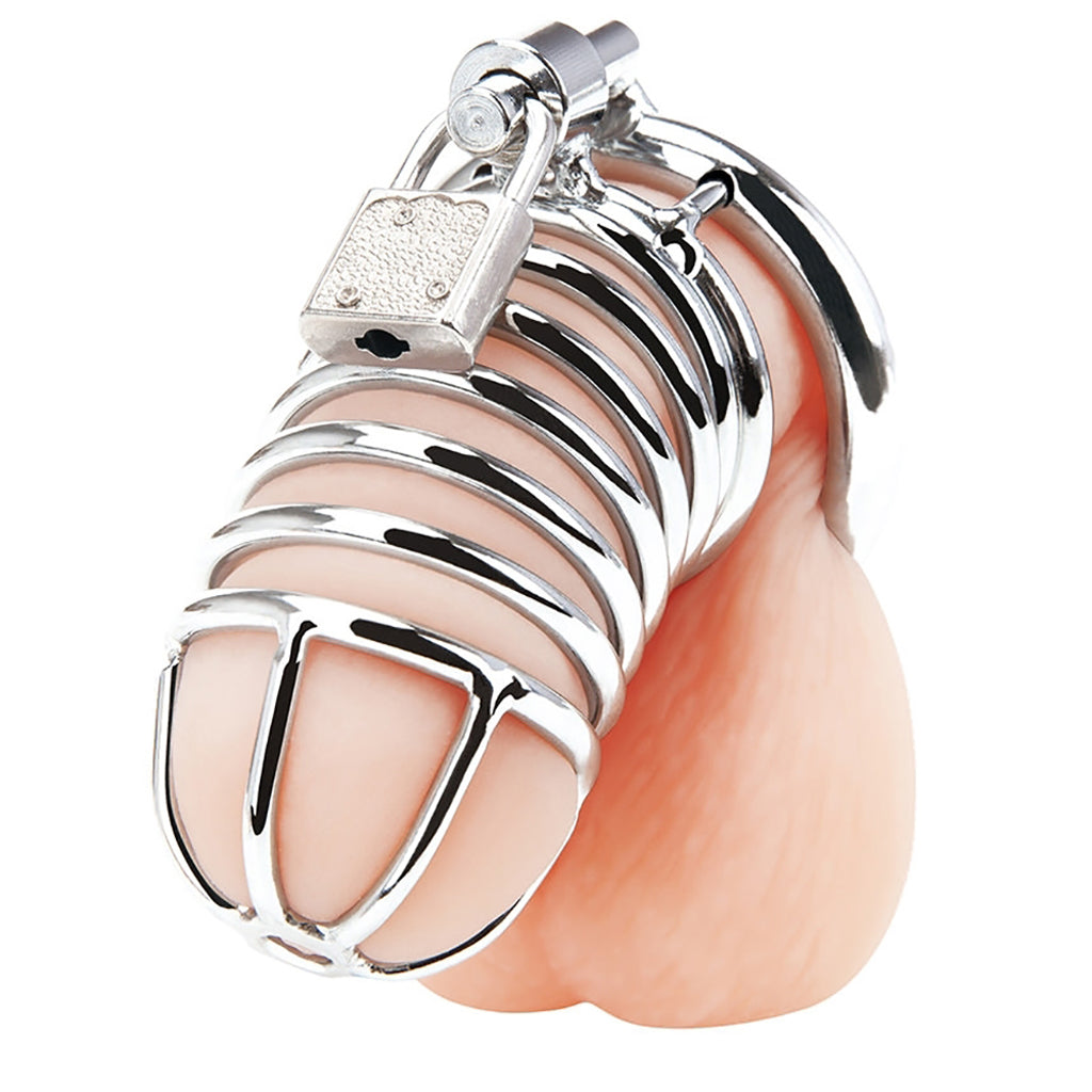 Blue Line Deluxe Steel Chastity Cage in Silver - Tophatter's Adult Products Bondage and Fetish > Cock and Ball Devices - Tophatter Daily Deals