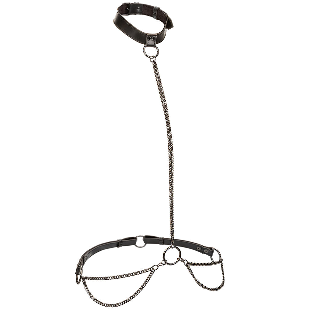 Euphoria Chain Collar & Leash Bondage and Fetish > Leashes and Collars - Tophatter Daily Deals