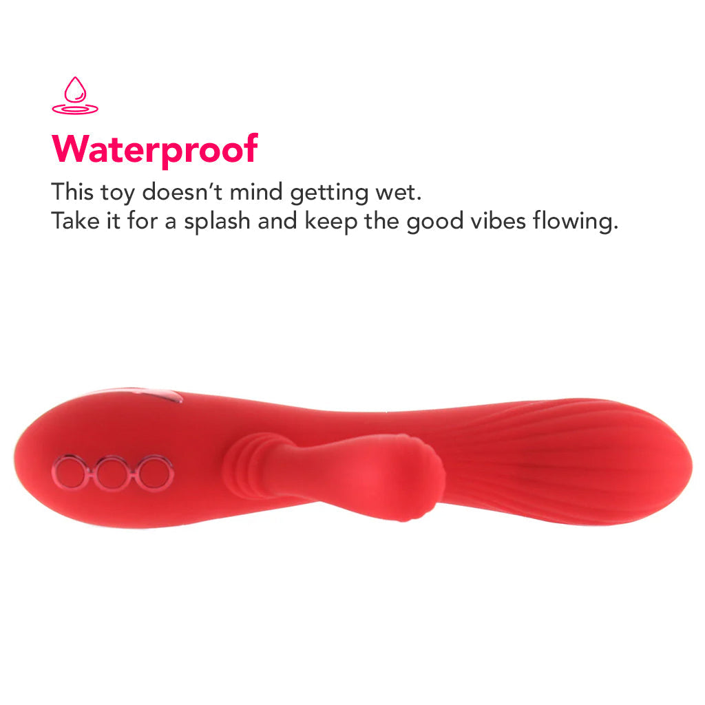 California Dreaming Palisades Passion Rabbit Vibe Vibrators > Rabbit Vibrators - Tophatter Daily Deals