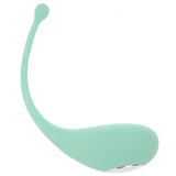 Palpitation App Control Egg Vibe in Mint Vibrators > Bullet and Egg Vibrators - Tophatter Daily Deals