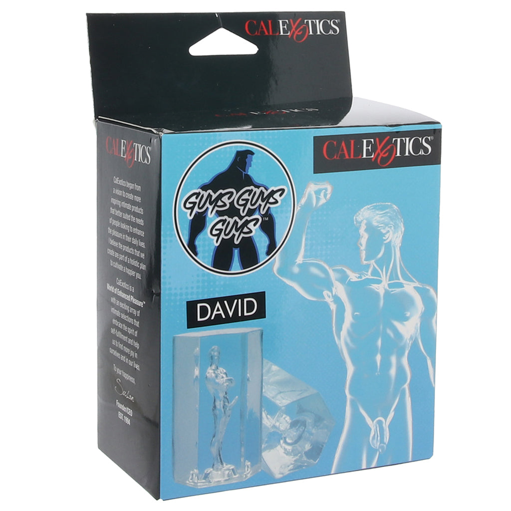 Guys Guys Guys David Stroker Male Masturbators > Pocket Strokers - Tophatter Daily Deals