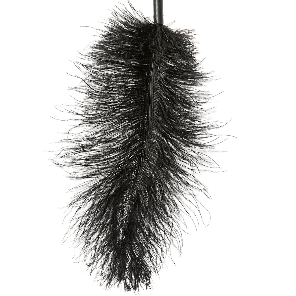 Ostrich Feather Body Tickler in Black - Tophatter's Adult Products Bondage and Fetish > Tools & Accessories - Tophatter Daily Deals