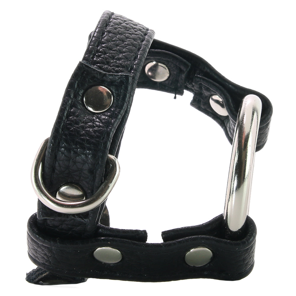 Blue Line Duo Cock and Ball Lock - Tophatter's Adult Sex Toys Online Bondage and Fetish > Cock and Ball Devices - Tophatter Daily Deals