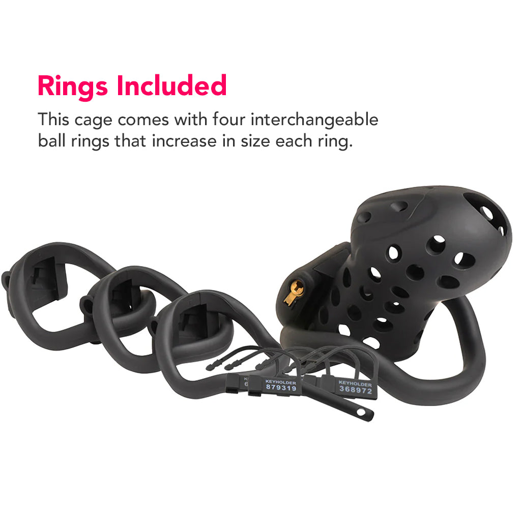 Master Series Lockdown Chastity Cage Bondage and Fetish > Cock and Ball Devices - Tophatter Daily Deals