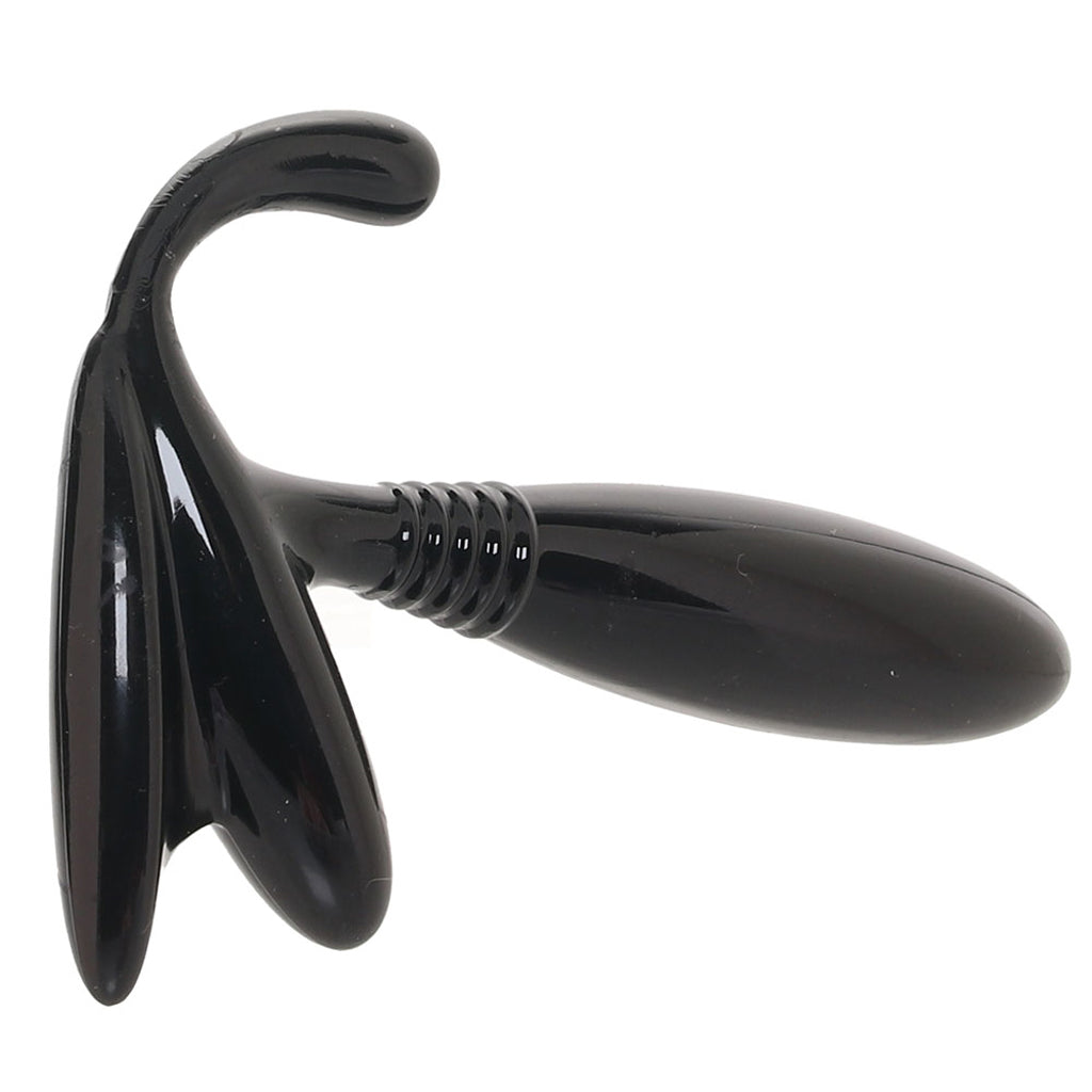 Apollo Universal Prostate Probe in Black Clearance - Tophatter Daily Deals