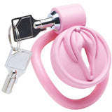 Master Series Pussification Vulva Chastity Cage Bondage and Fetish > Cock and Ball Devices - Tophatter Daily Deals